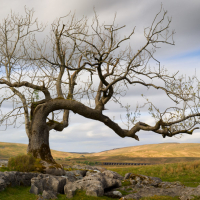 Yorkshire Dales Autumn 20
