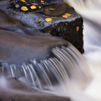 Yorkshire Dales Autumn 4