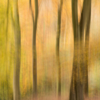 Yorkshire Dales Autumn 6
