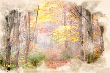 Watercolour effects using Adobe Photoshop