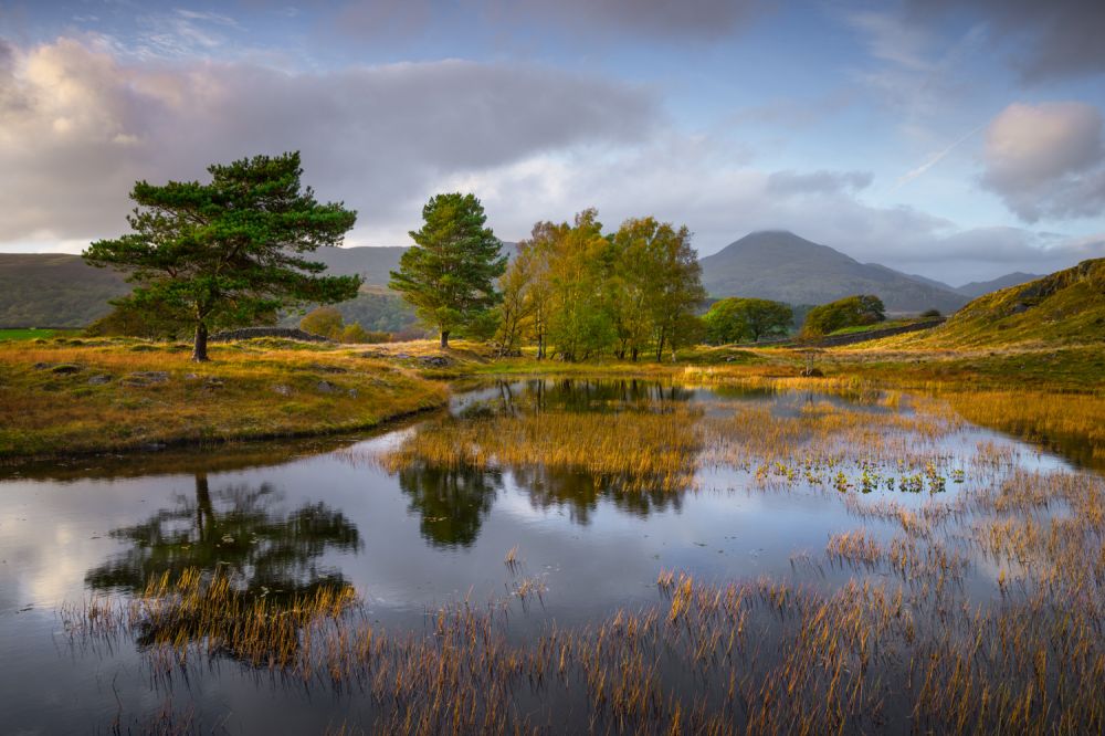 Autumn in the Lakes photography workshop with Mark Banks
