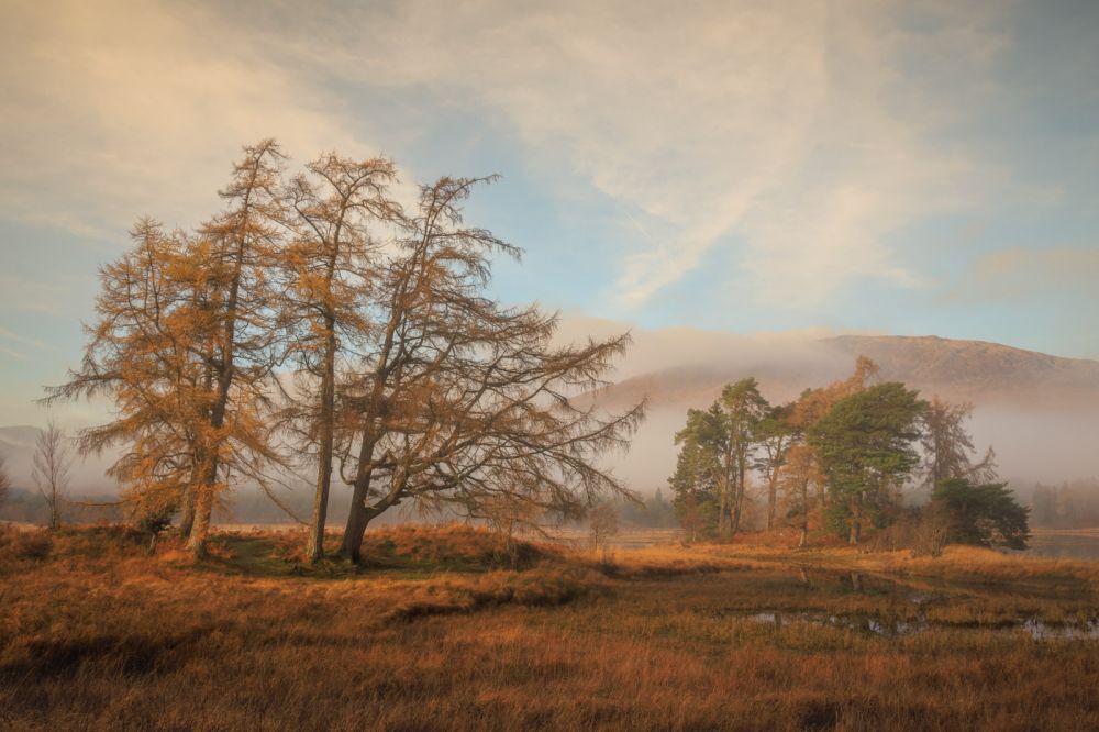Glencoe & Rannoch Moor