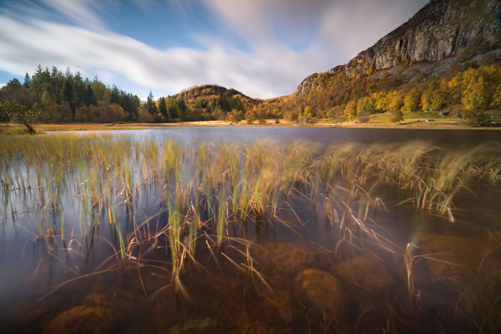 Colours of the Cairngorms