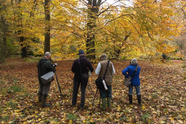 Photography Workshops