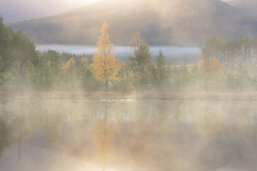 Colours of the Cairngorms