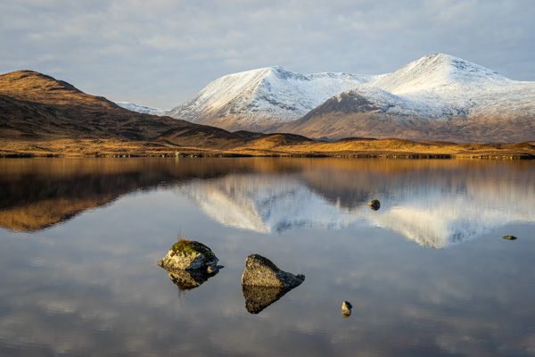 Gallery Images from Mark Banks Photography