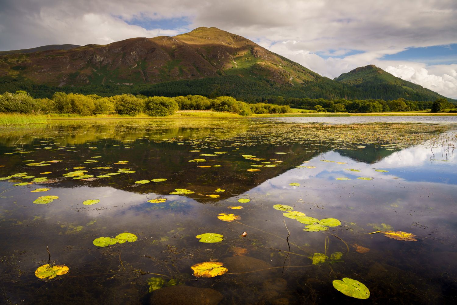Autumn Colour: Lake District Photography Workshop with Mark Banks
