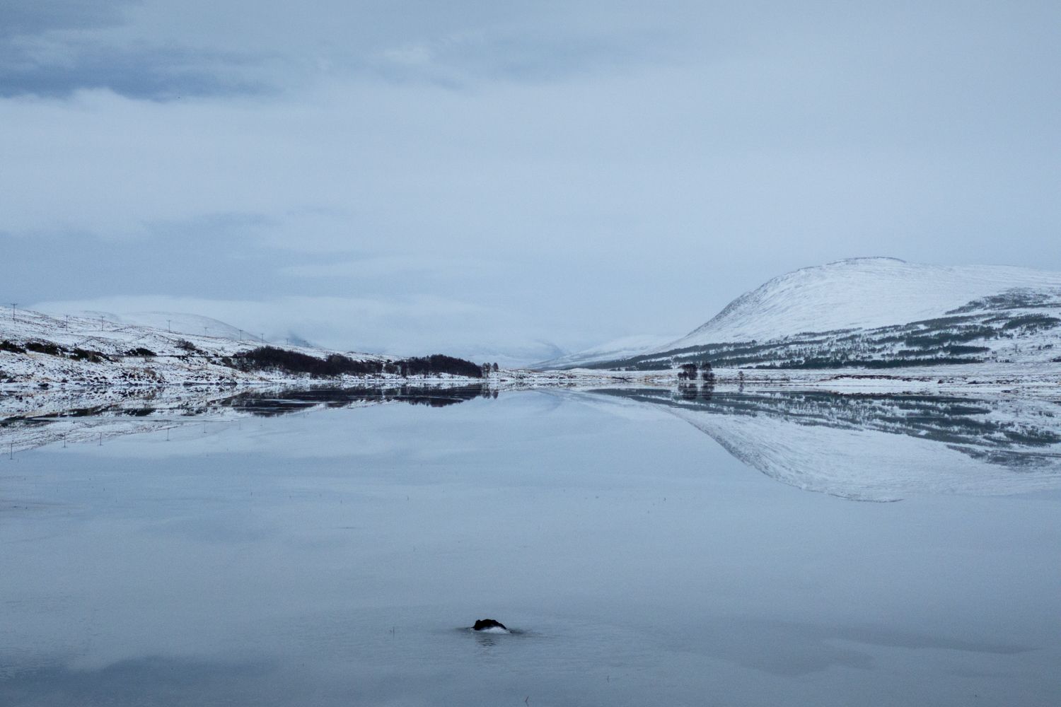 Highland winter; a week in Assynt