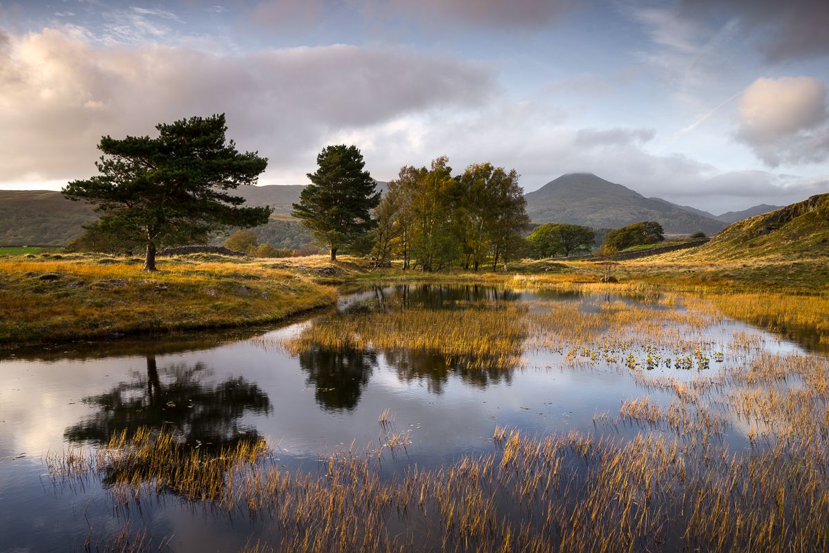 Autumn Colour: Lake District