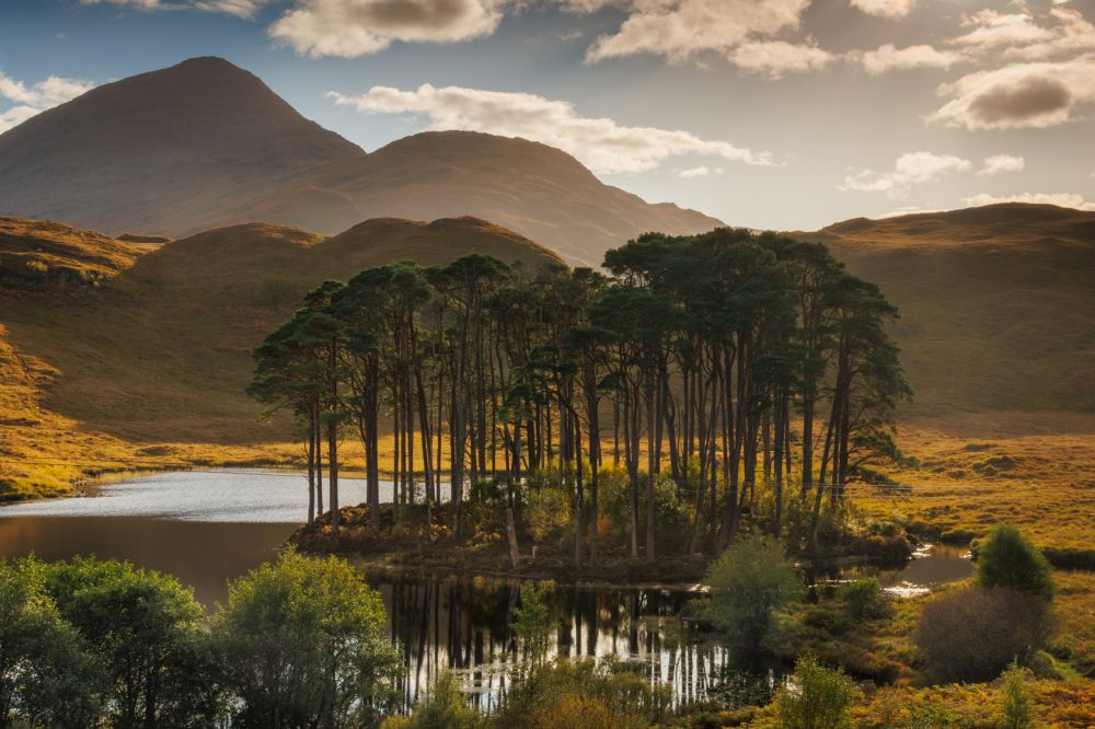 Moidart & Ardnamurchan Peninsula
